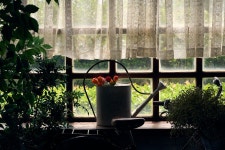 A7C 2875 작년 여름 제주도 스압