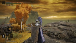 엔딩 보기 아쉬워 갑옷 모으고 있습니다영묘 뻐꾸기