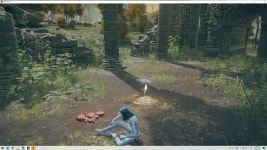 pc 라니가좋아 라니커마로 시작한 초보입니다 나눔요청드려도될가요