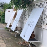 개들을 위한 쉼터 | 유머 게시판 개들을 위한 쉼터 | 유머 게시판 | 루리웹