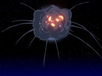 배우 짐 캐리가 은퇴하면 안 되는 이유