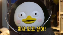 인방 서울대 의대 동물특별전형 면접 본 펭수