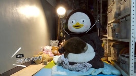 인방 서울대 의대 동물특별전형 면접 본 펭수