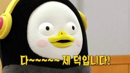 인방 서울대 의대 동물특별전형 면접 본 펭수