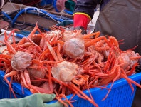 네이버 포항 연지홍게 3kg812마리내외 29900원