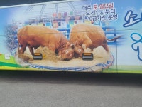 너네 황소 얼마나 큰줄 아냐? | 유머 게시판 너네 황소 얼마나 큰줄 아냐? | 유머 게시판 | 루리웹