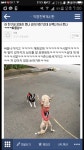 친구네 강아지 존나 순하거든