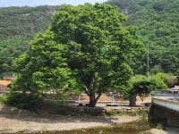 스압 충남 논산시 벌곡면 검천리의 풍경jpg