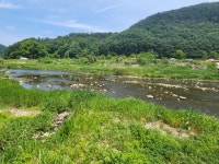 스압 충남 논산시 벌곡면 검천리의 풍경jpg