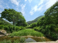 스압 충남 논산시 벌곡면 검천리의 풍경jpg