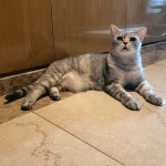 어질어질 | 정치유머 게시판 어질어질 | 정치유머 게시판 | 루리웹