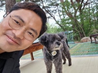 새로운 토리 사진