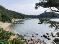 몰운대임 | 정치유머 게시판 몰운대임 | 정치유머 게시판 | 루리웹