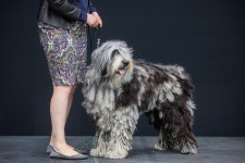 위풍댕댕 | 유머 게시판 위풍댕댕 | 유머 게시판 | 루리웹