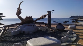 지방 가면 볼거 여러가지 있어 | 유머 게시판 지방 가면 볼거 여러가지 있어 | 유머 게시판 | 루리웹