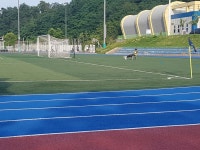 7월 9일 K4리그 강남축구공원 직관기