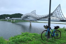 자전거미친 낙타등 선넘네