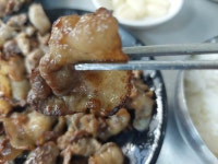 칠성시장 단골식당 | 음식 갤러리 칠성시장 단골식당 | 음식 갤러리 | 루리웹
