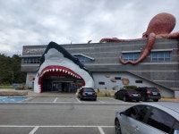 6장 본인 오늘 해남갔다옴