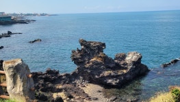 제주도 자전거종주 동->북 마지막날밤 | 국내여행 이야기 게시판 제주도 자전거종주 동->북 마지막날밤 | 국내여행 이야기 게시판 | 루리웹