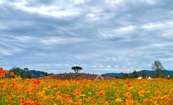 날씨 흐린날 합천 신소양체육공원