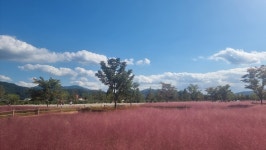 합천 신소양체육공원 | 정치유머 게시판 합천 신소양체육공원 | 정치유머 게시판 | 루리웹