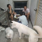 뿅뿅들이 잇엇구만 | 유머 게시판 뿅뿅들이 잇엇구만 | 유머 게시판 | 루리웹