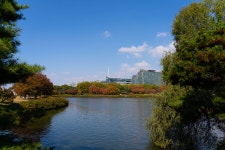 호수공원에서 찍은 사진들