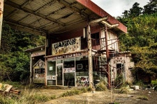 주유소⛽ -> 애완동물 가게🐕 -> 폐업🏚️ | 유머 게시판 주유소⛽ -> 애완동물 가게🐕 -> 폐업🏚️ | 유머 게시판 | 루리웹