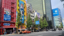 유게이 일본가서 아키하바라 다녀옴