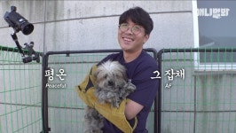 제작진 쉽게 쉽게 갑시다 | 유머 게시판 | RULIWEB 제작진 쉽게 쉽게 갑시다 | 유머 게시판 | 루리웹