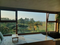 스압 힘세고 강한 제주도 먹부림 2탄