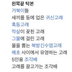 멸실 위기에 처한 우리나라 문화유산.jpg | 유머 게시판 | RULIWEB 멸실 위기에 처한 우리나라 문화유산.jpg | 유머 게시판 | 루리웹