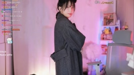 인방 트위치 섹시 여캠의 컨셉놀이