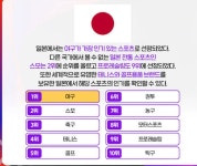 각 나라마다 인기있는 스포츠 순위