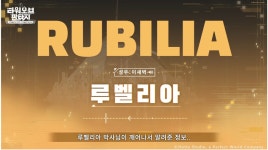 22 쇼케이스 요약