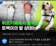 한국 기x기 스듄 | 유머 게시판 한국 기x기 스듄 | 유머 게시판 | 루리웹
