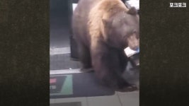 새벽마다 편의점 털어가는 악질 도둑놈