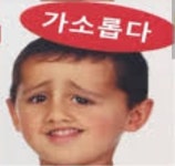 개딸이 한자리수 % 밖에 차지못한다고 비웃는거 가소롭다 | 정치유머 게시판 북유게이들.. 개딸이 한자리수 % 밖에 차지못한다고 비웃는거 가소롭... 