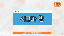 요즘 유행한다는 시그마 밈의 정리