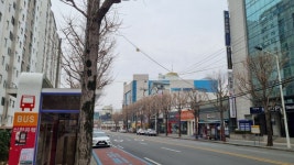 전남 여수에서 덕질찾기 여수에서 덕질하는 방법 feat순천광양