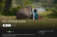 넷플릭스 아기 코끼리와 노부부 아카데미 단편 다큐상 수상