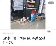 거절할수 없는 편의점 알바 공고