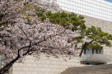 대전 다녀왔습니다