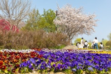 대전 다녀왔습니다