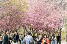 대전 다녀왔습니다