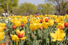 대전 다녀왔습니다