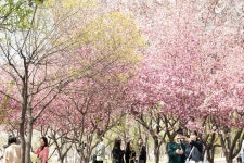 대전 다녀왔습니다