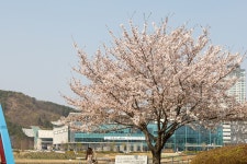 대전 다녀왔습니다