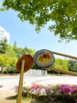 집 근처 공원에서 먹은 김밥